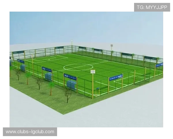 全面提升足球儿童竞技水平的系统化科学腿部按摩训练指导手册方案