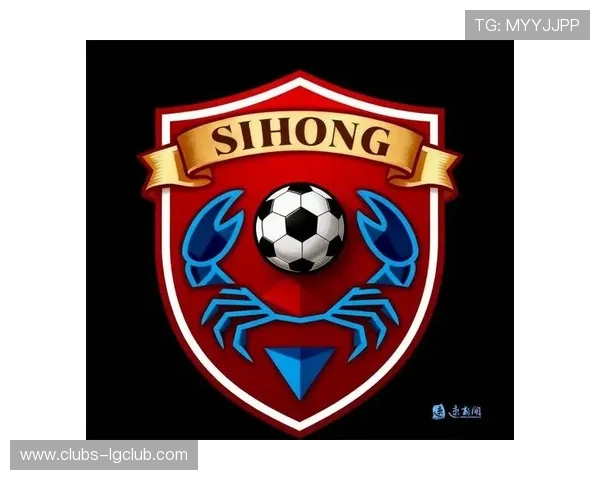 围绕常见足球符号名称解析与文化意涵探索全方位呈现其独特魅力风